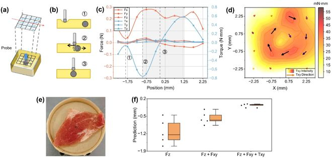 图 | 肿瘤定位实验（来源：DOI: 10.1364/OPTICA.582941）