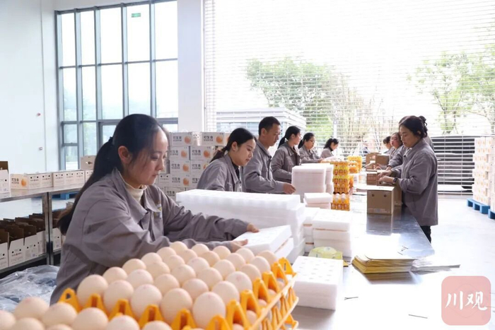工人正在打包鸡蛋。