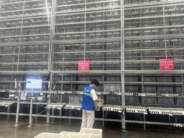 菜鸟广东东莞麻涌仓库，现阶段作业区域已投入60余台攀爬机器人 图片来源：每经记者 陈婷 摄