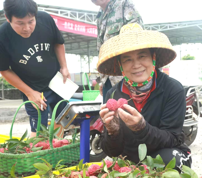 依托万年火山地貌孕育出的独特优良品质，个头硕大、果肉厚实、汁水清甜的火山荔枝王。