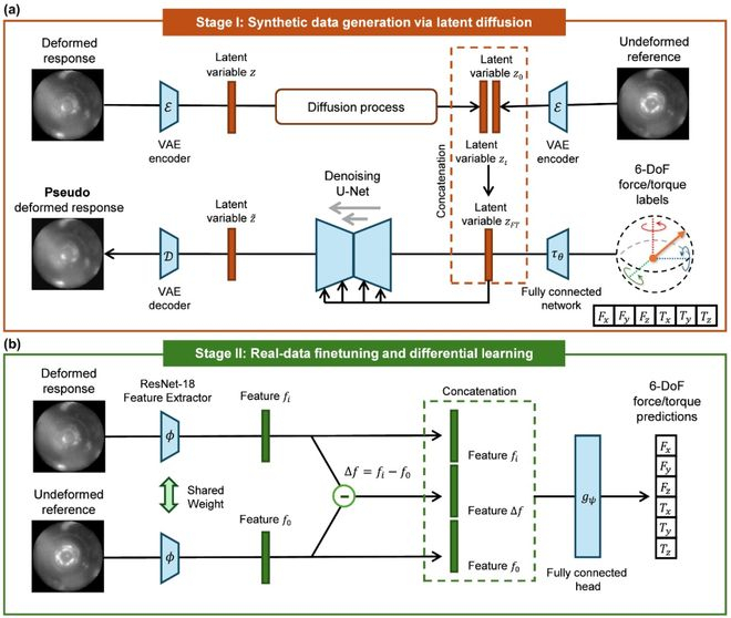 （来源：DOI: 10.1364/OPTICA.582941）