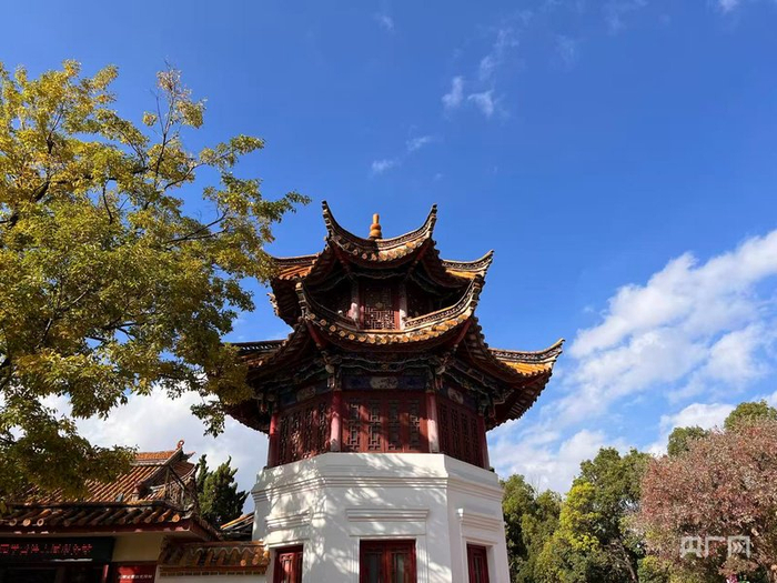 “云南蓝”成为常态，从空中到地面构筑起立体的生态屏障（央广网记者  魏文青  摄）
