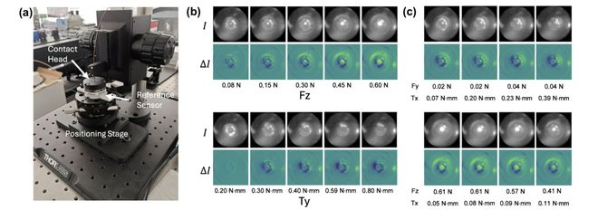 （来源：DOI: 10.1364/OPTICA.582941）