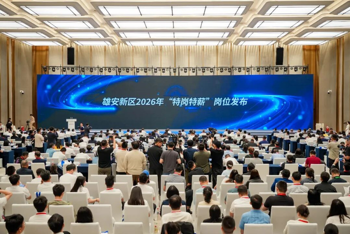 活动现场。雄安新区党群工作部供图