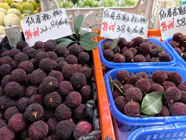 产自浙江的杨梅小规模上市（本文图片除特别说明，均作者拍摄）