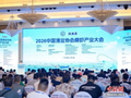 棚虾适度规模经营正成为中国对虾产业突围关键方向之一