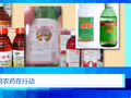 有人顶风作案！高毒农药，流入农田！《财经调查》曝光→