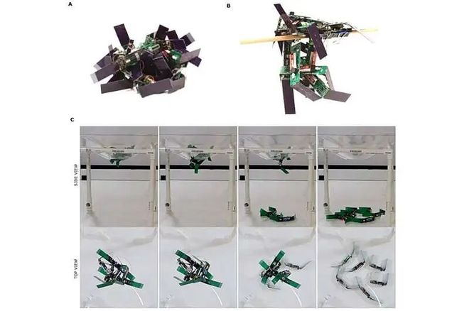 （来源：DOI: 10.1126/scirobotics.aec6393）