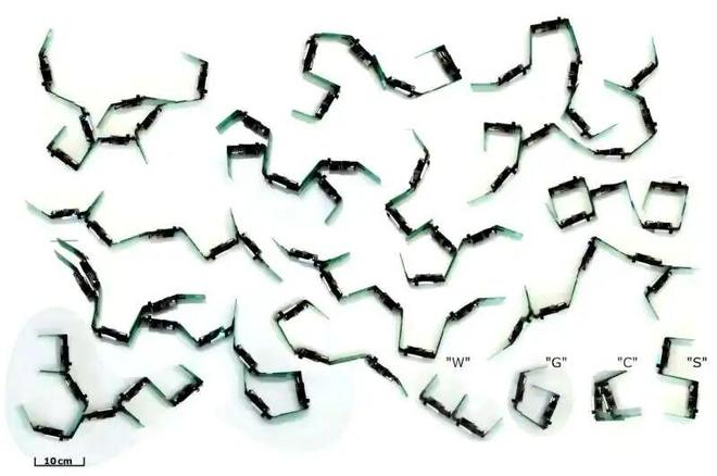 （来源：DOI: 10.1126/scirobotics.aec6393）