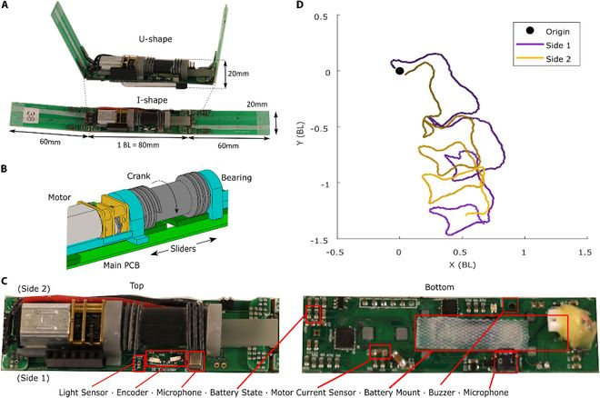 图 | 机器人模块设计（来源：DOI: 10.1126/scirobotics.aec6393）