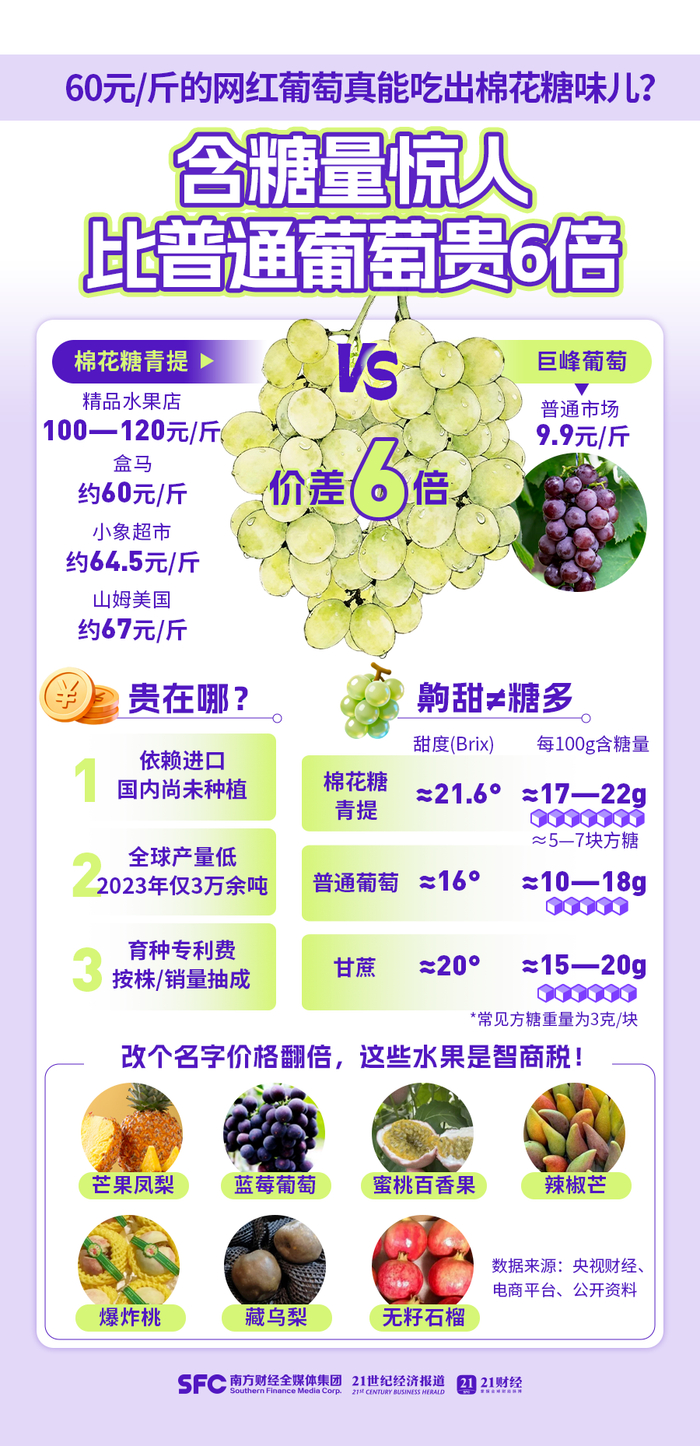 设计：郑嘉琪