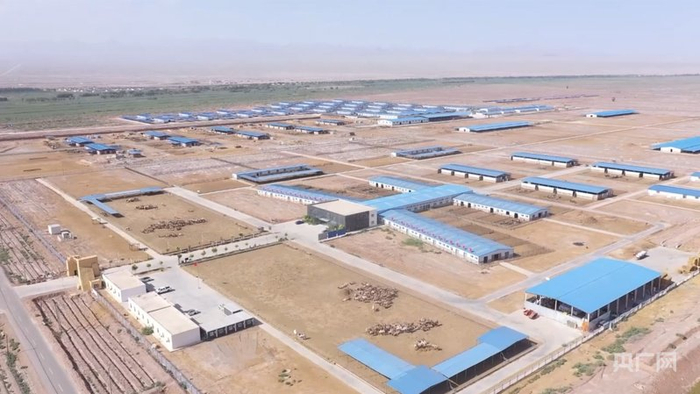 俯瞰柯坪县骆驼养殖基地 （央广网发 瓦热斯·艾海提 摄）