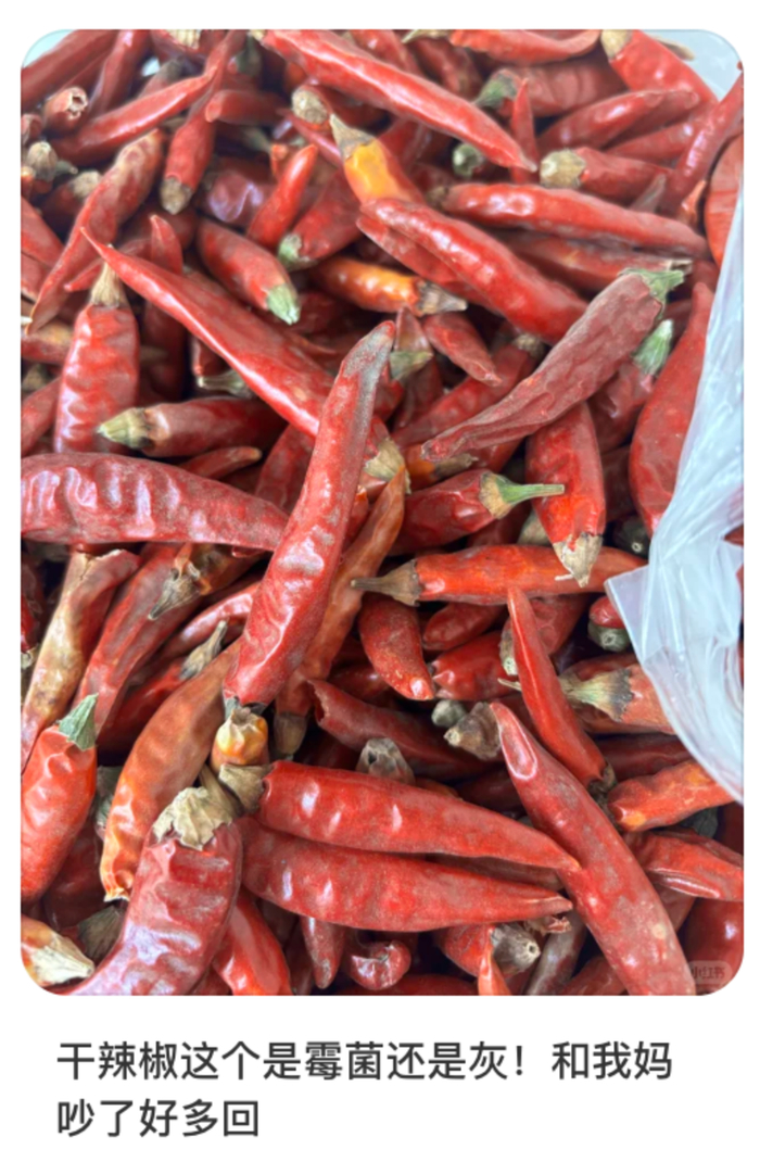 图片来源：🍠