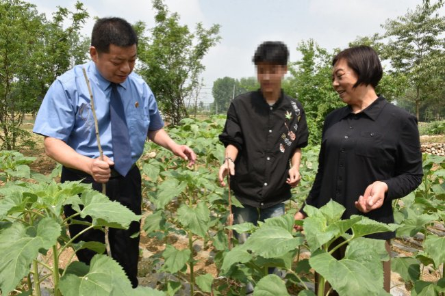 近日，曹兰英代表（右一）受邀参与河南省登封市检察院举办的涉罪未成年人亲子帮教及劳动实践活动。