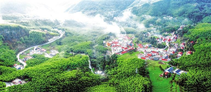 盘州市大洞竹海。 肖本祥 摄