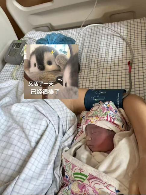 宝宝在我身边睡得很安稳丨作者供图