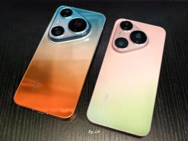  图源：不客观实验室