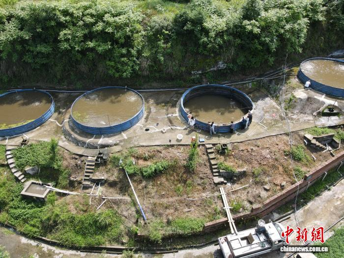 碑庙镇石笋村水产养殖基地。通川融媒供图