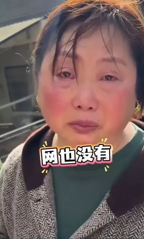 镜头前的向金元。图源网络