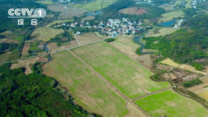 △湖北咸宁毛祠村，“山上换山下”实施后，耕地与林地分布有序