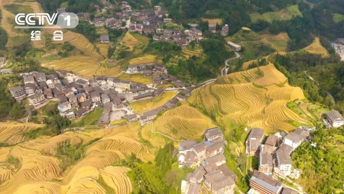 △广西龙脊梯田，“小山如螺，大山成塔”，被联合国粮农组织认定为全球重要农业文化遗产