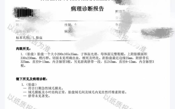 病理报告显示胎盘急性绒毛膜炎丨作者供图