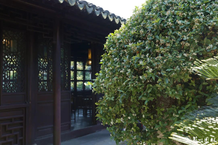 摄影：茹军