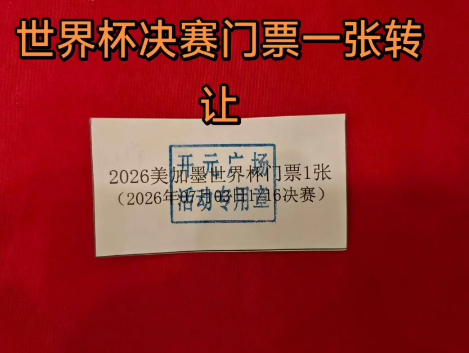 △当事人发布视频内容截图，显示为2026美加墨世界杯1/16决赛门票一张。