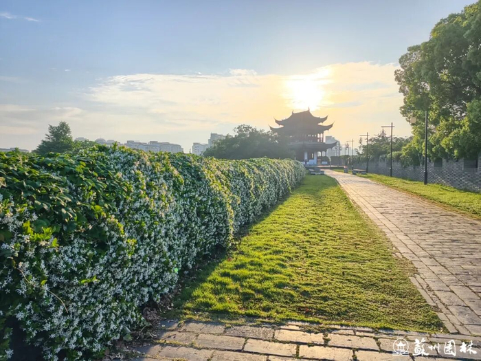 摄影：陈逸民