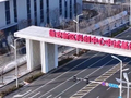 央视《经济半小时》聚焦！从0到1，雄安如何长出“创新链”？