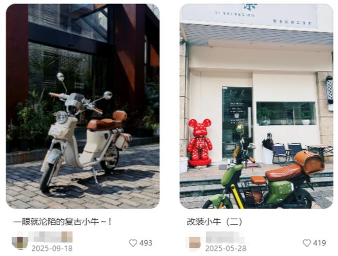 经过改造的小牛，颇有几分千禧年代的美。（图/社交平台截图）