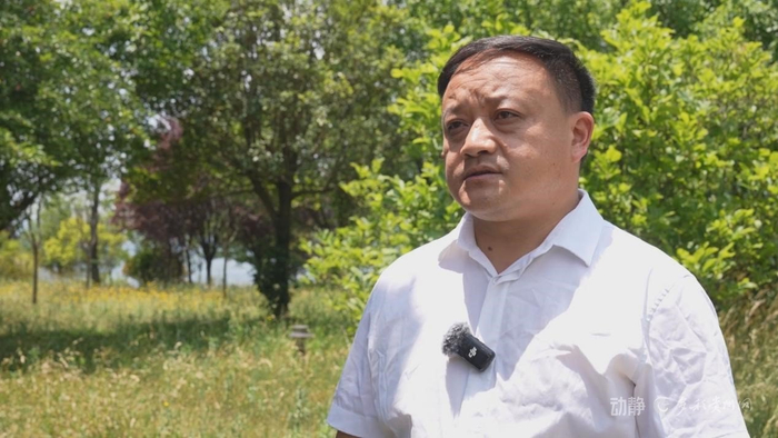 毕节市威宁彝族回族苗族自治县委统战部部长杨阳