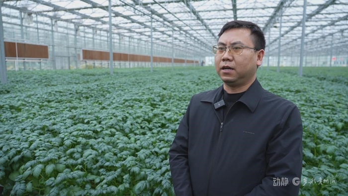 中垦薯业有限责任公司副总经理李奎