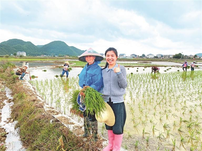 林凤婷（右）和龙宝村村民在稻田合影。 贵州日报天眼新闻记者 赵文菂 摄
