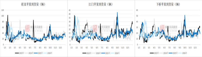 数据来源：钢联，紫金天风期货研究所