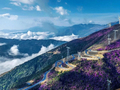 凉山：“资源大州”如何三招图强？丨21城开局问答·凉山策