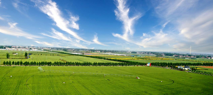 周口国家农高区小麦大面积单产提升示范基地。