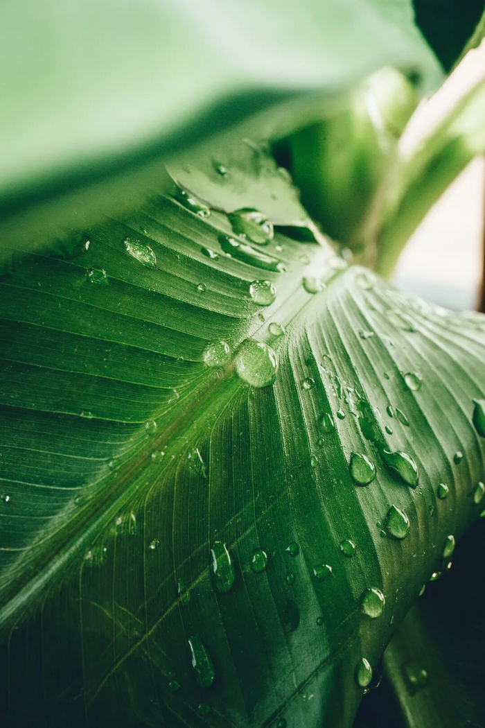 七言|不要和不同層次的人爭辯
