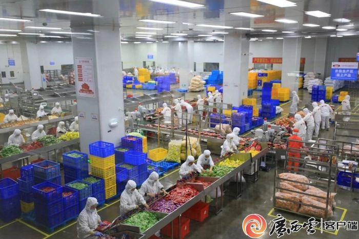 柳州市一家企业的螺蛳粉生产线。广西云-广西日报记者 谢永辉 摄