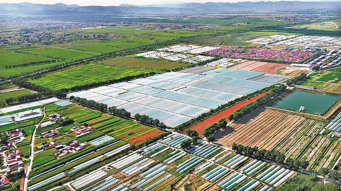 　　杨郎村万亩瓜菜基地。陈佳文摄/光明图片