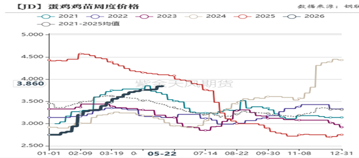 数据来源：上海钢联  紫金天风期货研究所