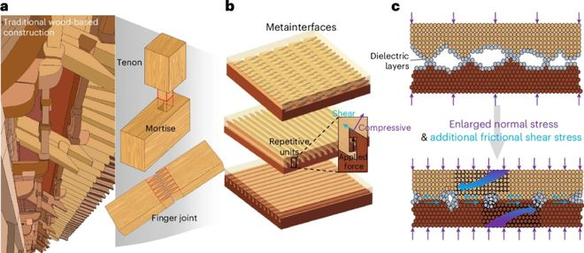 （来源：DOI: 10.1038/s41928-026-01622-3）