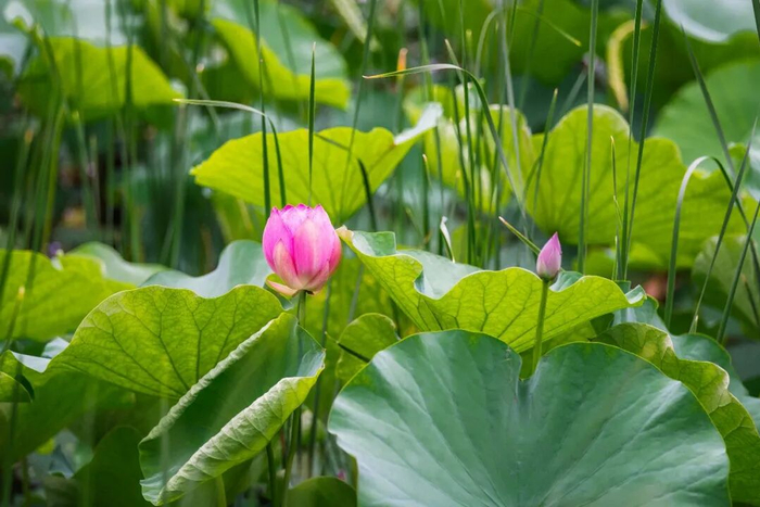 5月27日 摄