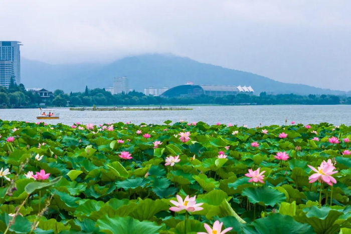 和平门湿地