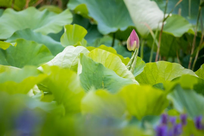 5月27日 摄