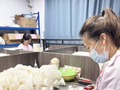 一片羽毛“链”出千万元产业