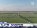 视频丨“三夏”抢收正值汛期，如何科学开展“龙口夺粮”？