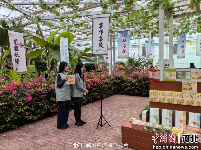 图为两名青年主播正在魏县光合市集直播短视频拍摄基地共享直播间直播带货。 王德峰 摄