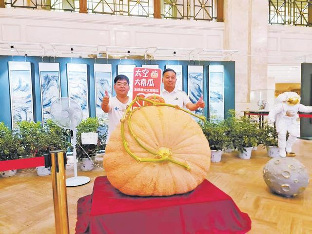 2025年，张传军（左）在武汉展示上千斤的“太空南瓜”。（受访者供图）