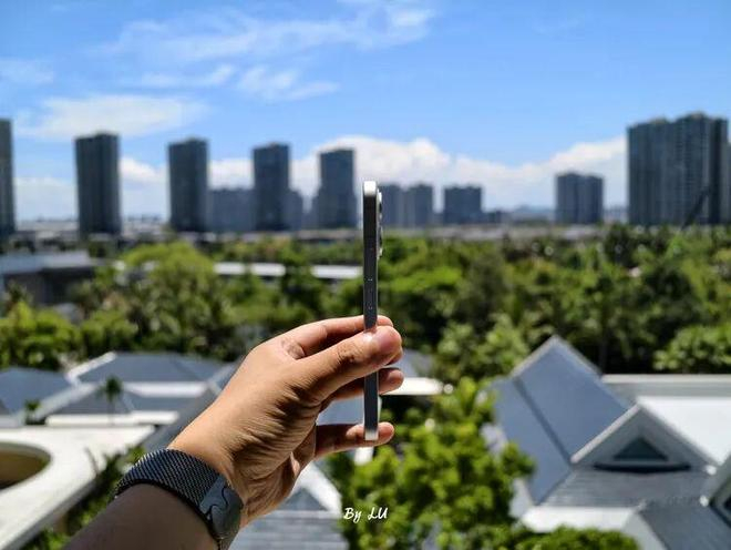 图源：不客观实验室